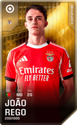 João Rêgo - limited