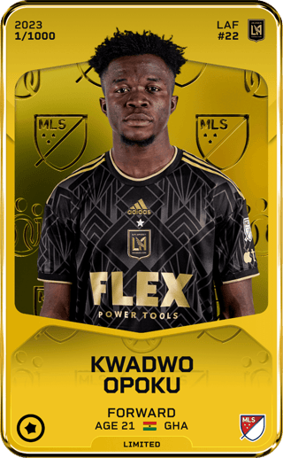 Kwadwo Opoku