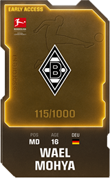 Wael Mohya - limited