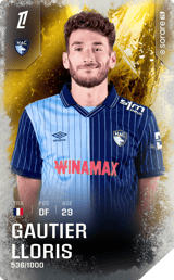 Gautier Lloris - limited