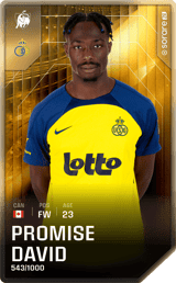 Promise David - limited