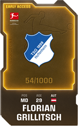 Florian Grillitsch - limited