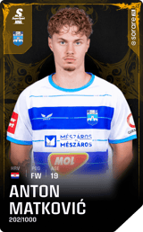 Anton Matković - limited