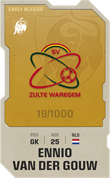 Ennio van der Gouw - limited