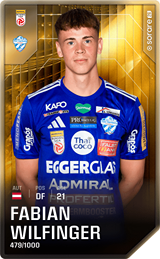 Fabian Wilfinger - limited