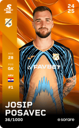 Josip Posavec - limited
