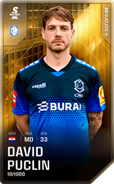 David Puclin - limited