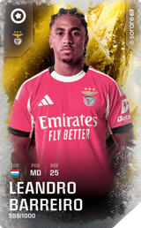 Leandro Barreiro - limited