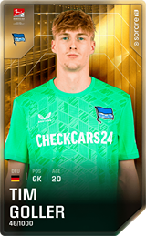 Tim Goller - limited