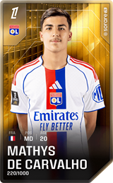 Mathys de Carvalho - limited