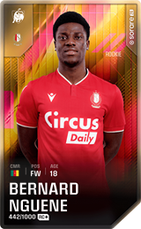 Bernard Nguene - limited