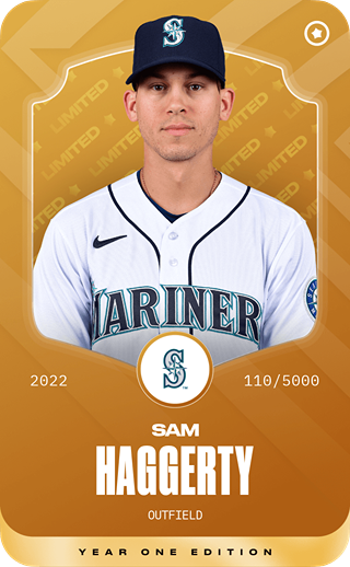 Sam Haggerty - limited