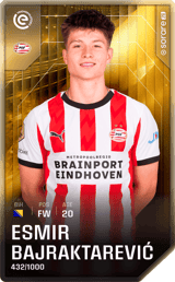 Esmir Bajraktarevic - limited