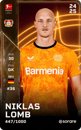 Niklas Lomb - limited