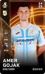 Amer Gojak - limited