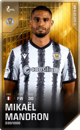 Mikaël Mandron - limited