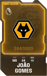 João Gomes - limited