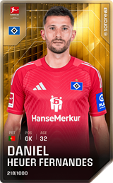 Daniel Heuer Fernandes - limited