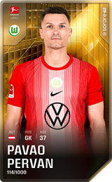Pavao Pervan - limited