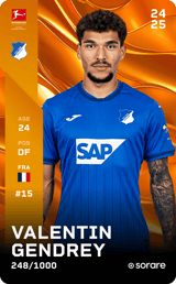 Valentin Gendrey - limited