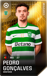 Pedro Gonçalves - limited