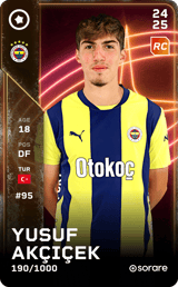Yusuf Akçiçek - limited