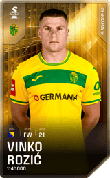 Vinko Rozić - limited