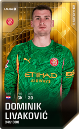 Dominik Livaković - limited