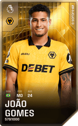 João Gomes - limited