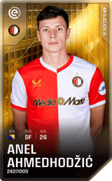 Anel Ahmedhodžić - limited