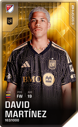 David Martínez - limited
