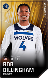 Rob Dillingham - limited