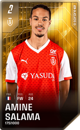 Amine Salama - limited