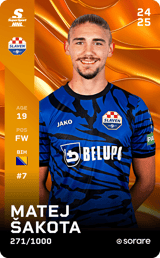 Matej Šakota - limited