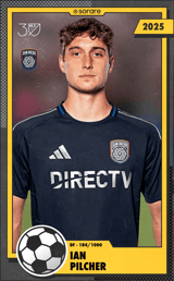 Ian Pilcher - limited