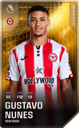 Gustavo Nunes - limited
