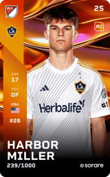 Harbor Miller - limited