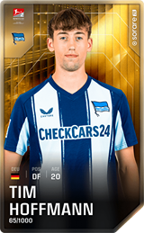 Tim Hoffmann - limited