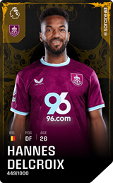 Hannes Delcroix - limited
