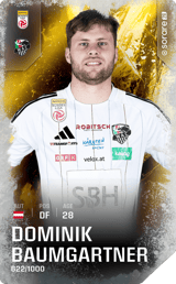 Dominik Baumgartner - limited