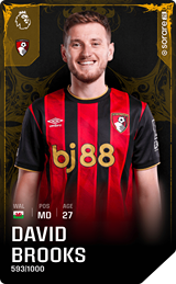 David Brooks - limited