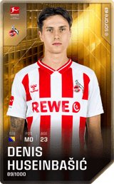 Denis Huseinbašić - limited