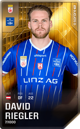 David Riegler - limited