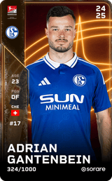 Adrian Gantenbein - limited