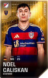 Noel Caliskan - limited