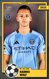 Hannes Wolf - limited