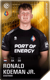 Ronald Koeman - limited