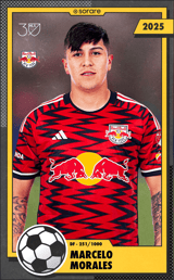 Marcelo Morales - limited