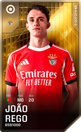 João Rêgo - limited