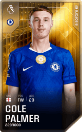 Cole Palmer - limited